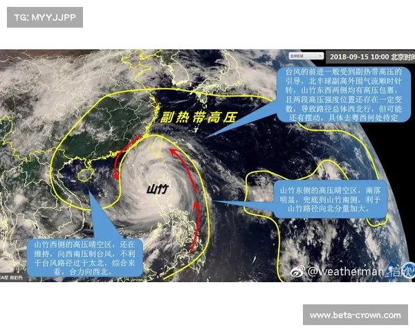 华东赛区启用双主场机制应对台风季赛事应急方案升级 华东赛区启用双主场机制应对台风季赛事应急方案升级